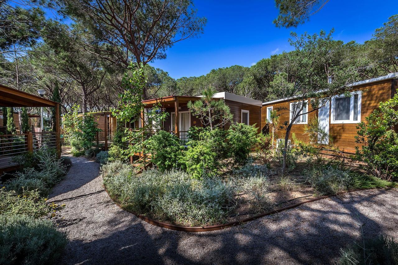 Camping Internazionale Etruria 卡斯蒂里昂纳·德拉佩 外观 照片