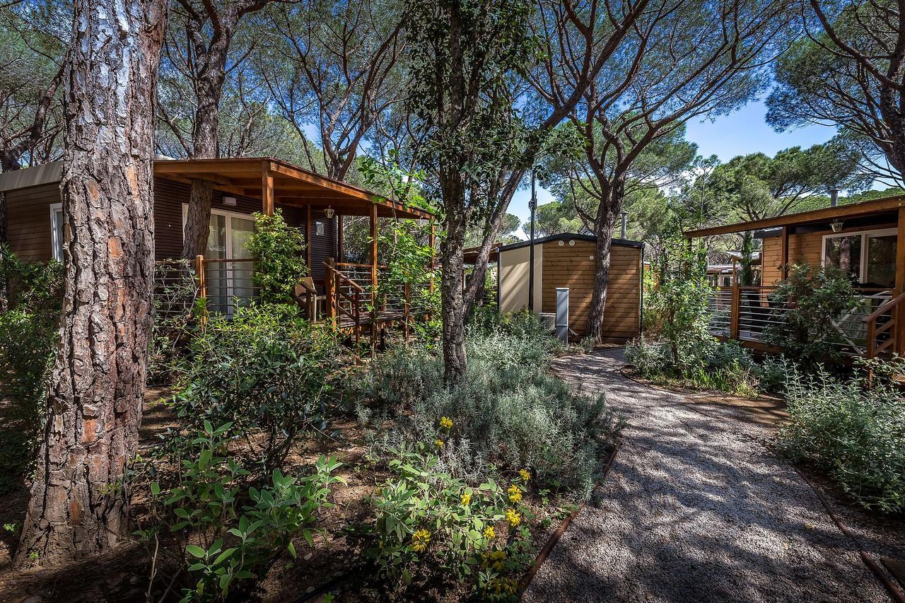 Camping Internazionale Etruria 卡斯蒂里昂纳·德拉佩 外观 照片